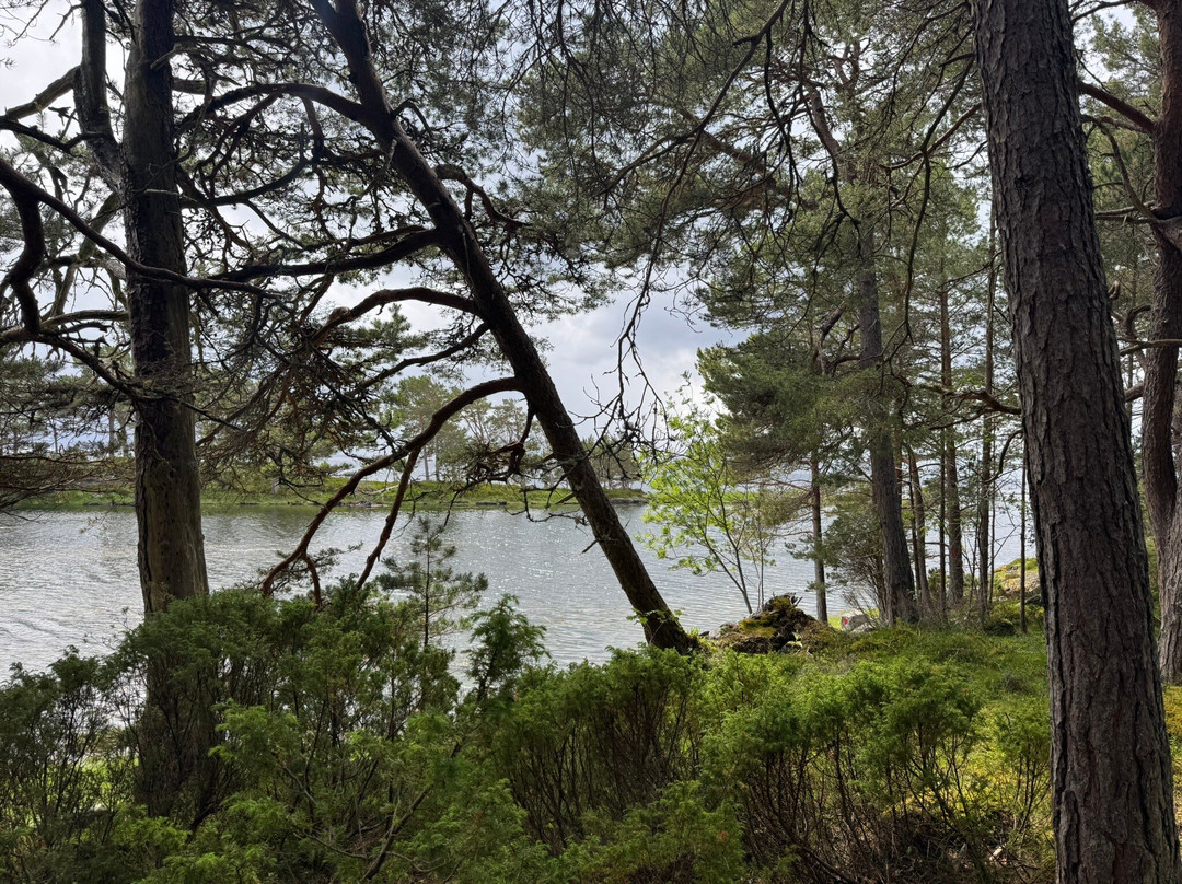 Hjertoya Island Nature Trail-莫尔德必去景点