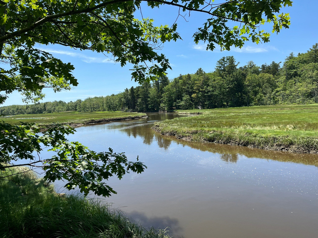 Rachel Carson National Wildlife Refuge-韦尔斯必去景点