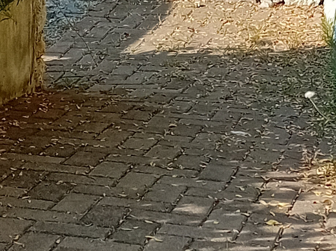 贝斯特韦斯特阿瓜诺维拉酒店主图