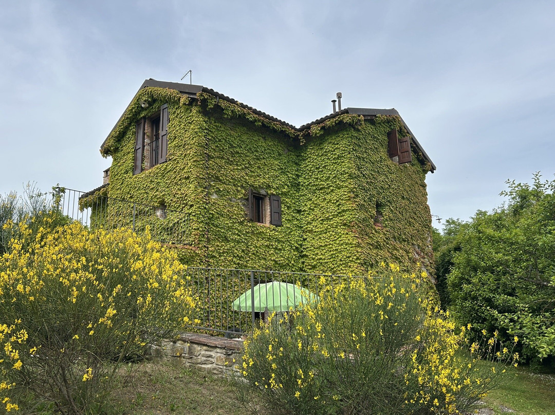 Lodole Country House主图