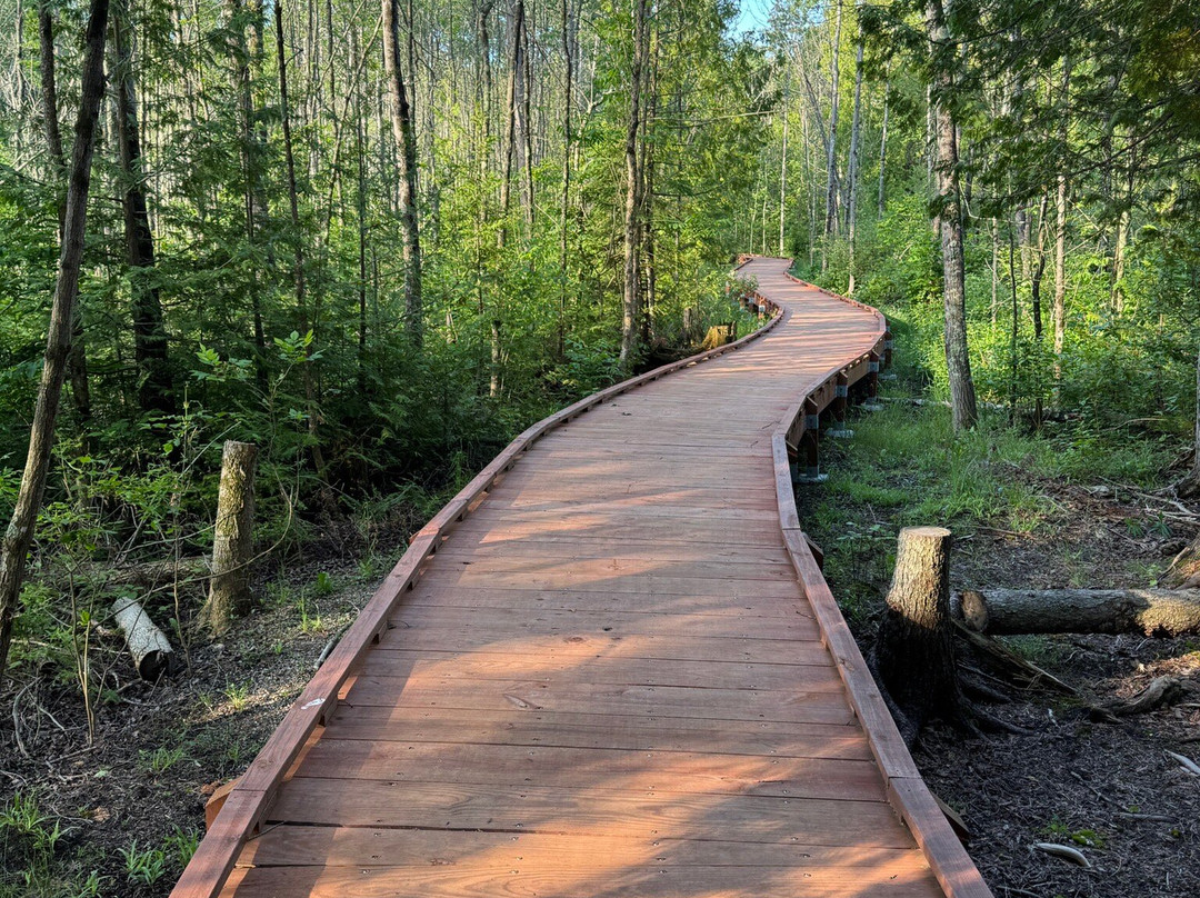 Newport State Park-Ellison Bay必去景点