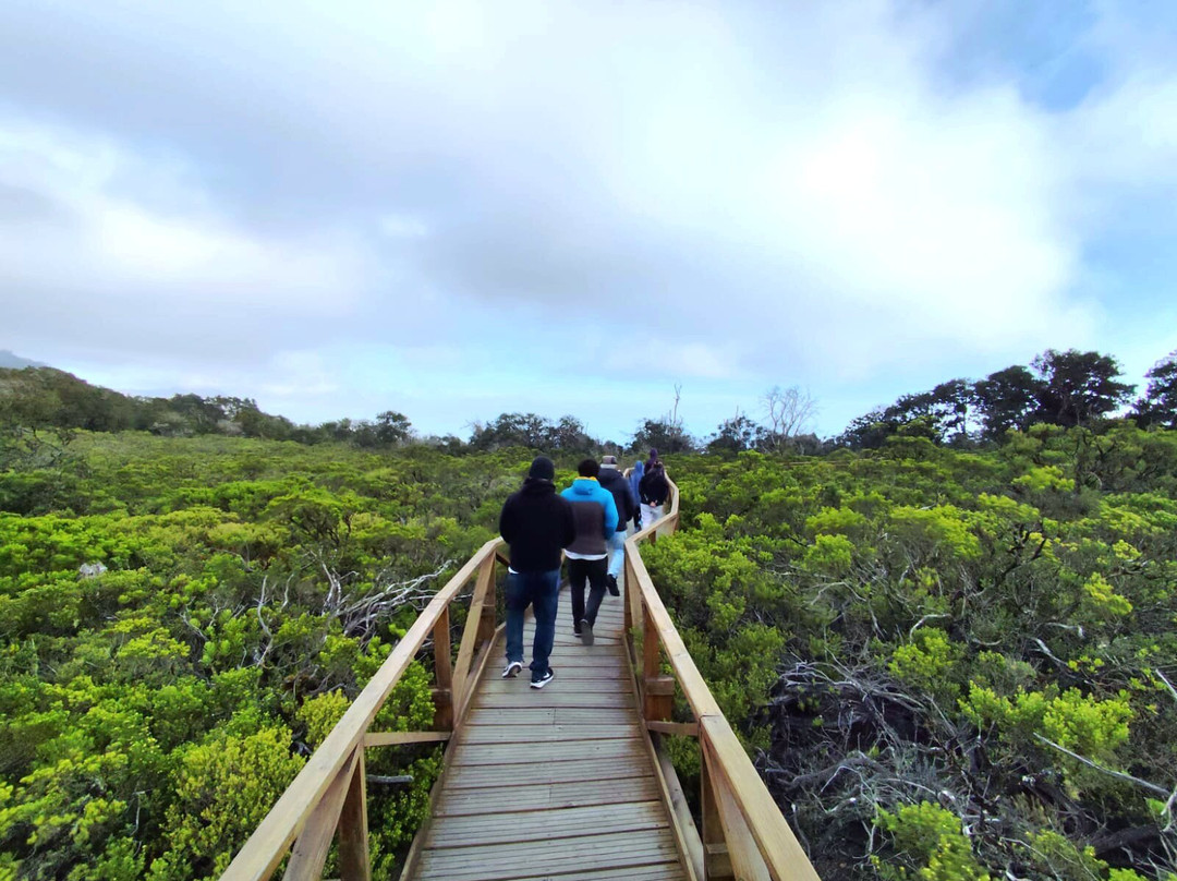 Fray Jorge National Park-拉塞雷纳必去景点