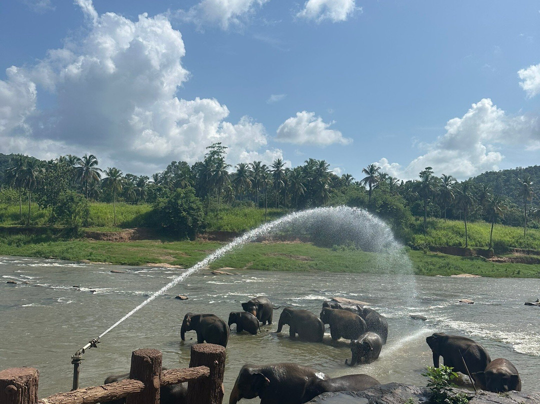 Comfort Travel & Tours-科伦坡必去景点