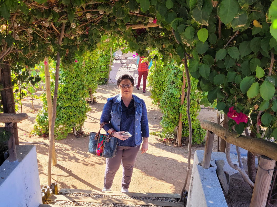 Santerra Hotel主图