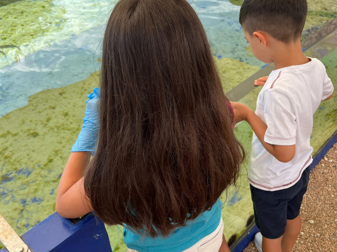 Acquario Cala Gonone-Dorgali必去景点