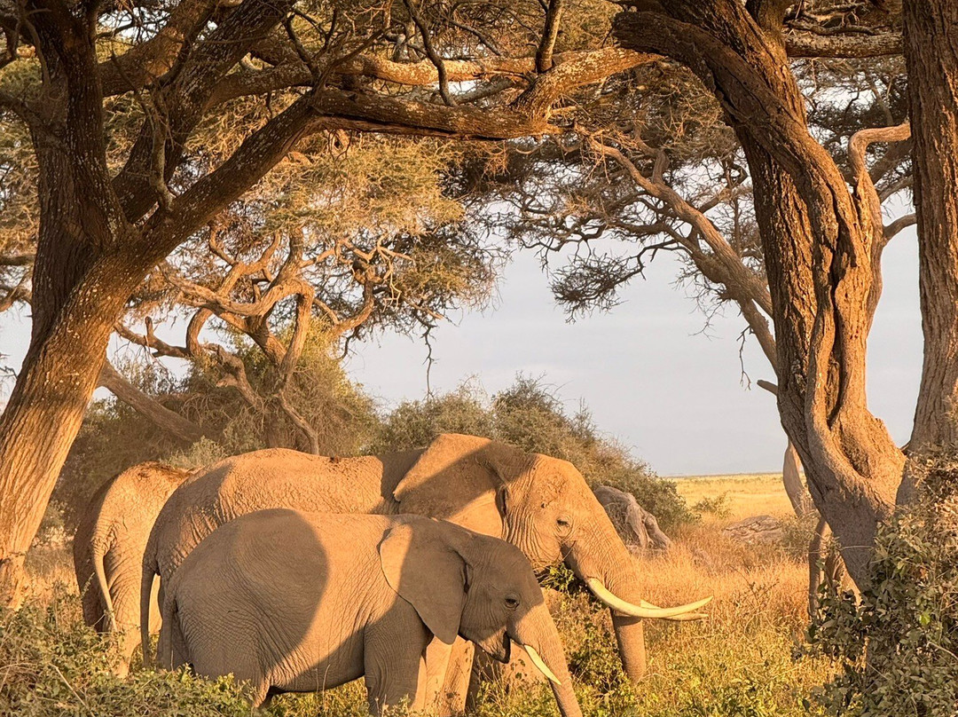 Evergreen Escape Expeditions - Africa-南由基必去景点