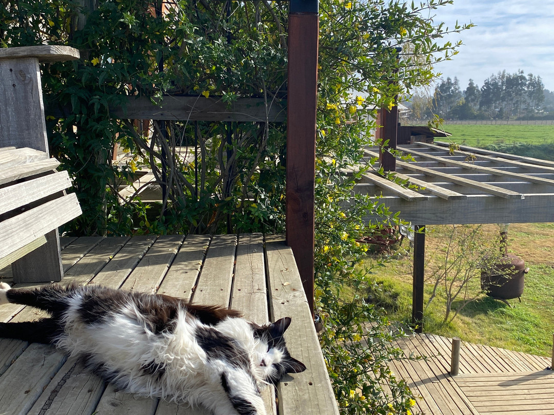 Los Maquis Hotel主图