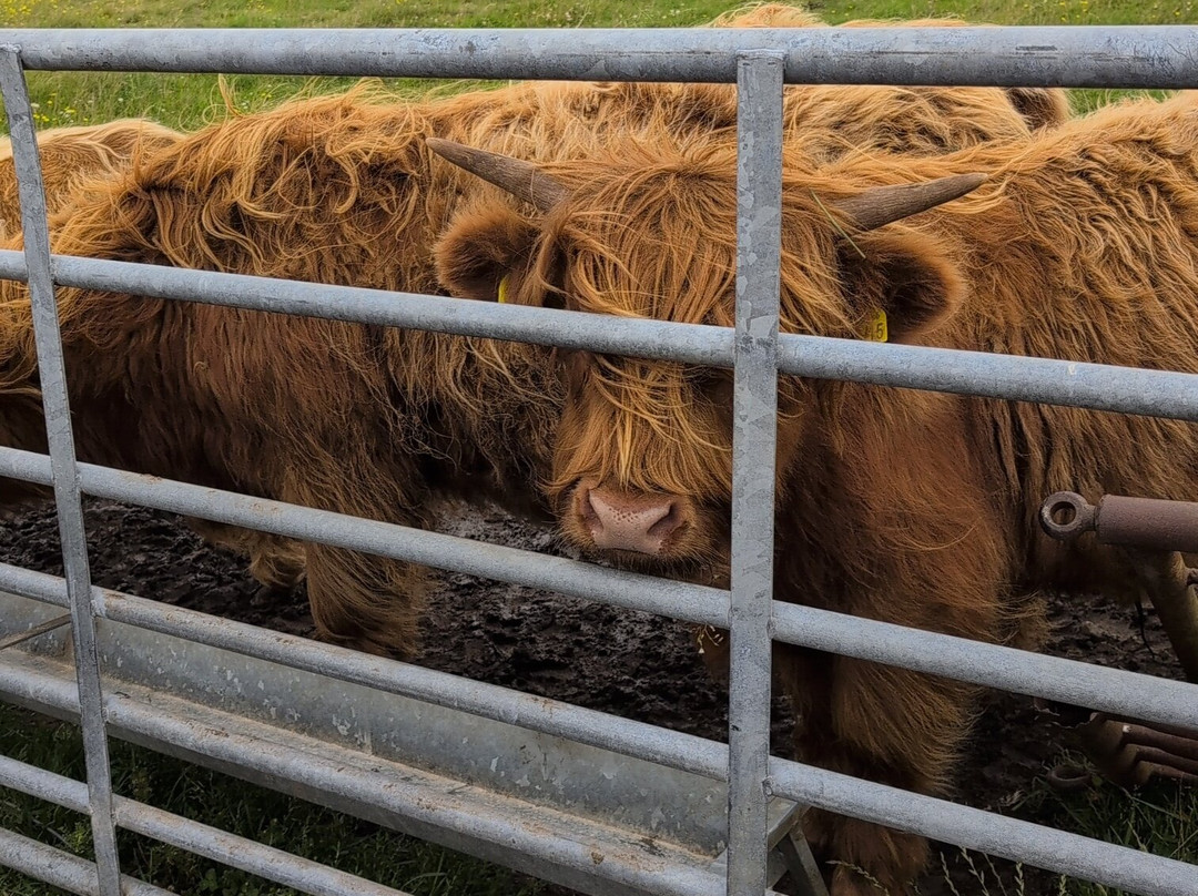Invercannich Farm-Cannich必去景点
