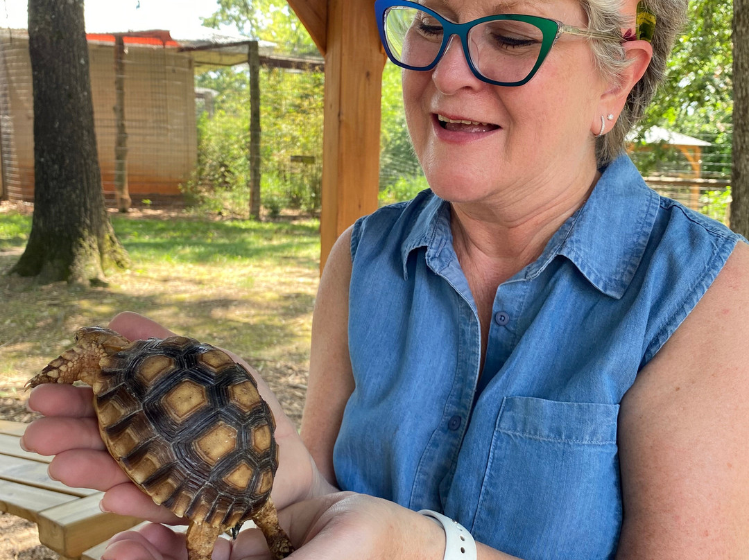 Eureka Springs Safari Park-Eagle Rock必去景点