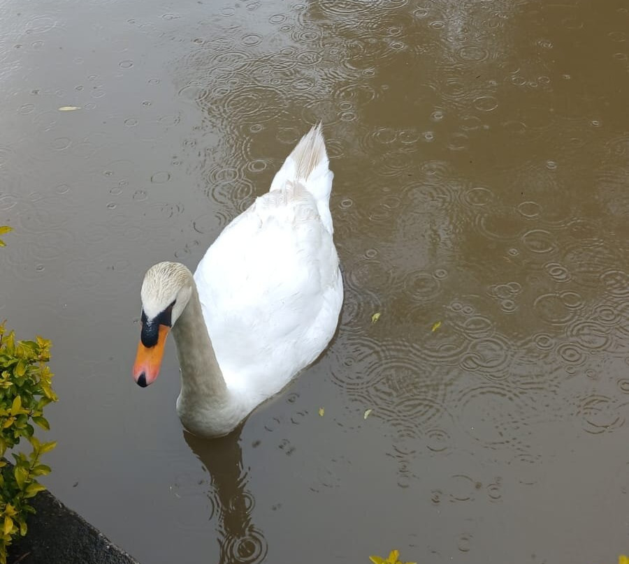 Parque Recreacional Jipiro-Loja必去景点