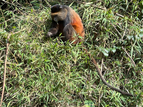 Makario Safaris Ltd.-吉佳利必去景点