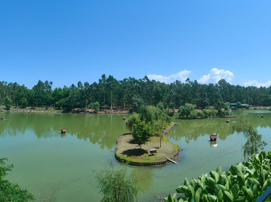 BatumiFun-巴统必去景点