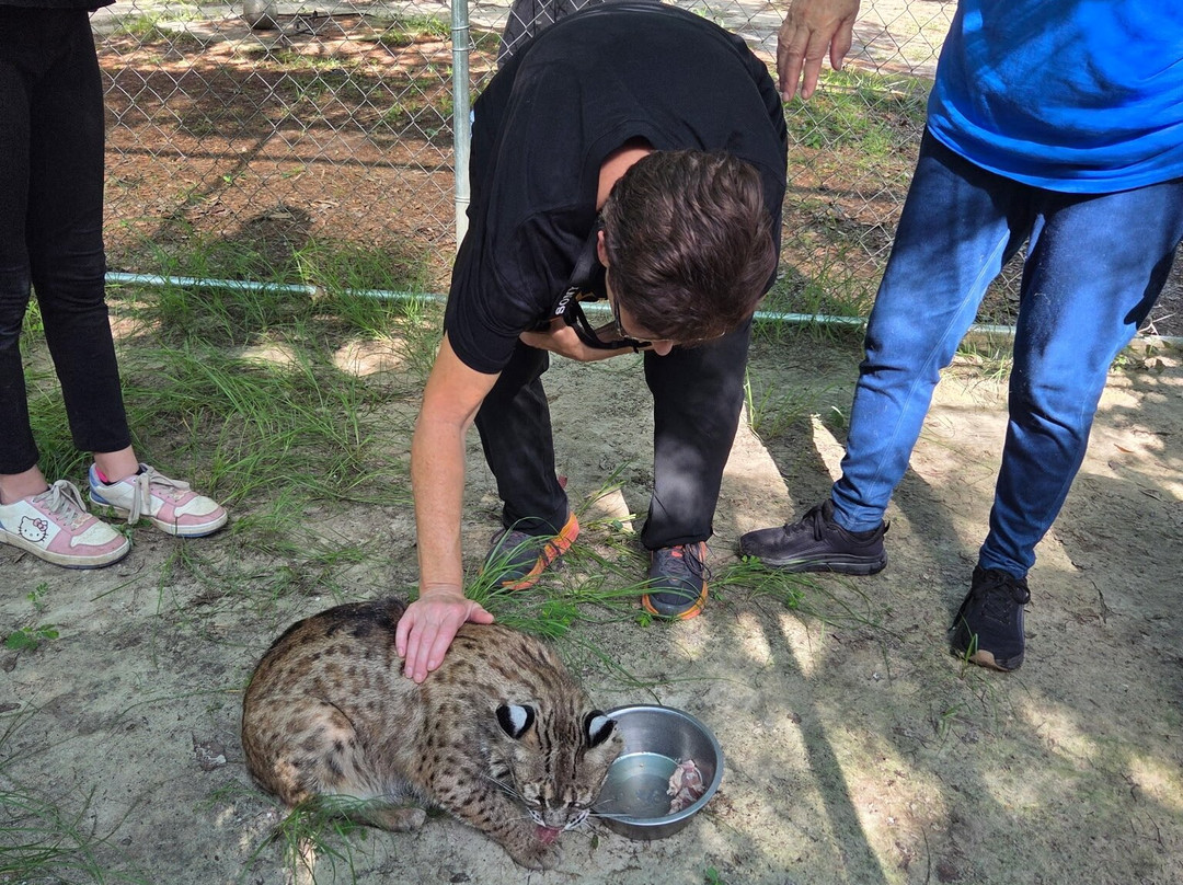 Bear Creek Feline Center-巴拿马城必去景点