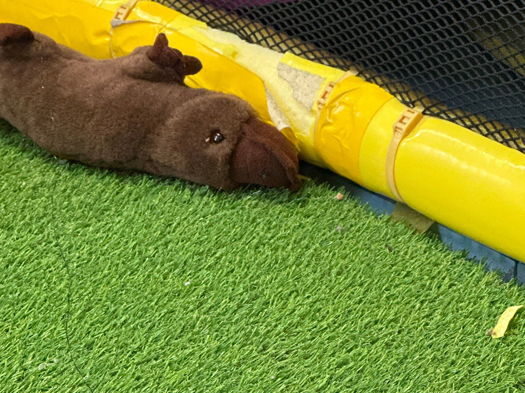 Chipmunks Play Centre & Cafe Cockburn-Bibra Lake必去景点