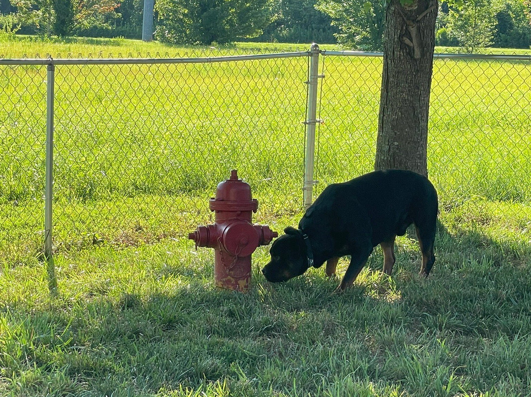 Wingate by Wyndham Charlotte Speedway/Concord主图