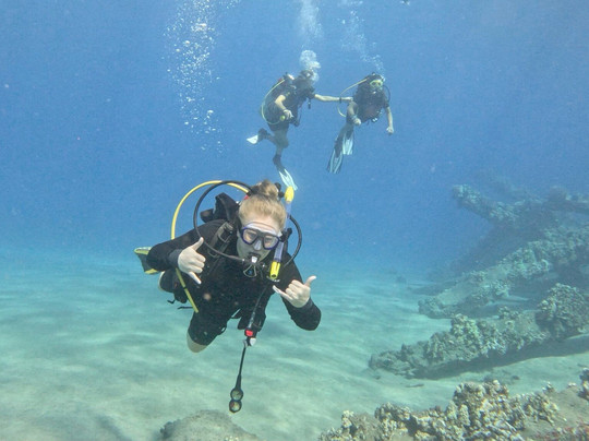 Dive Maui-拉海纳必去景点