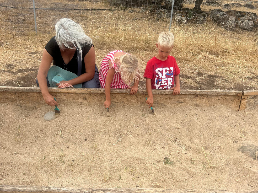 Parco Paleontologico Dinosardo-奥里斯塔诺省必去景点