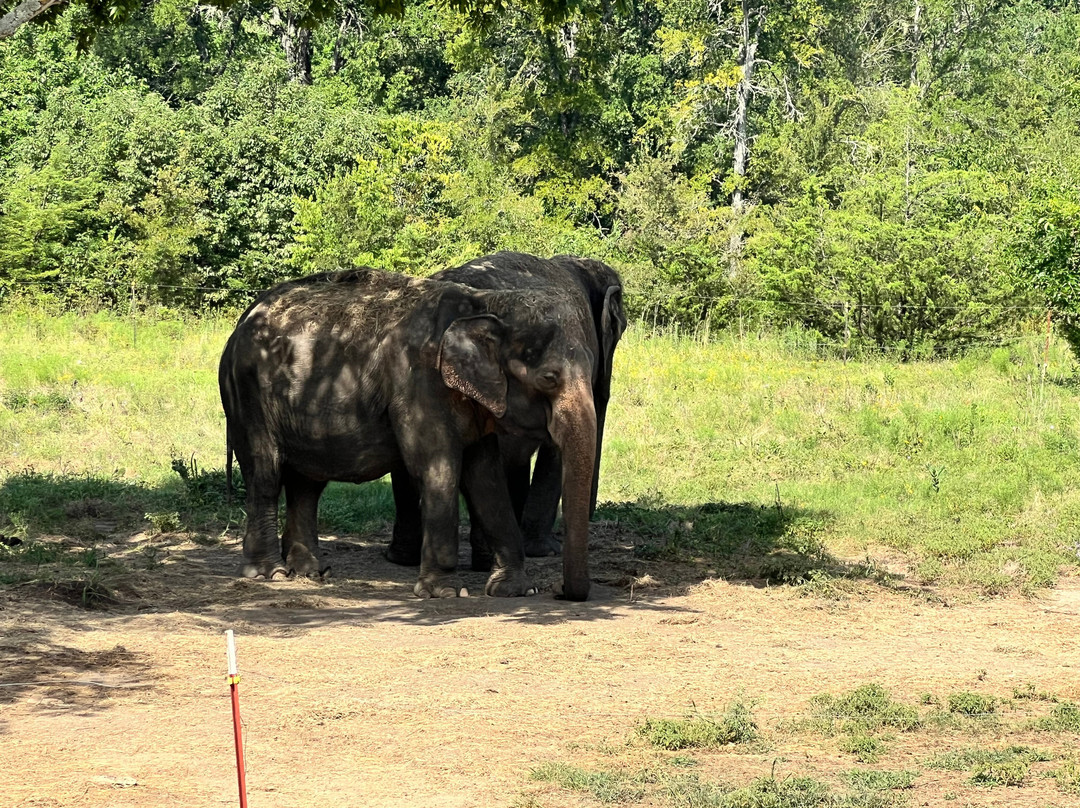 The Endangered Ark Foundation-Hugo必去景点