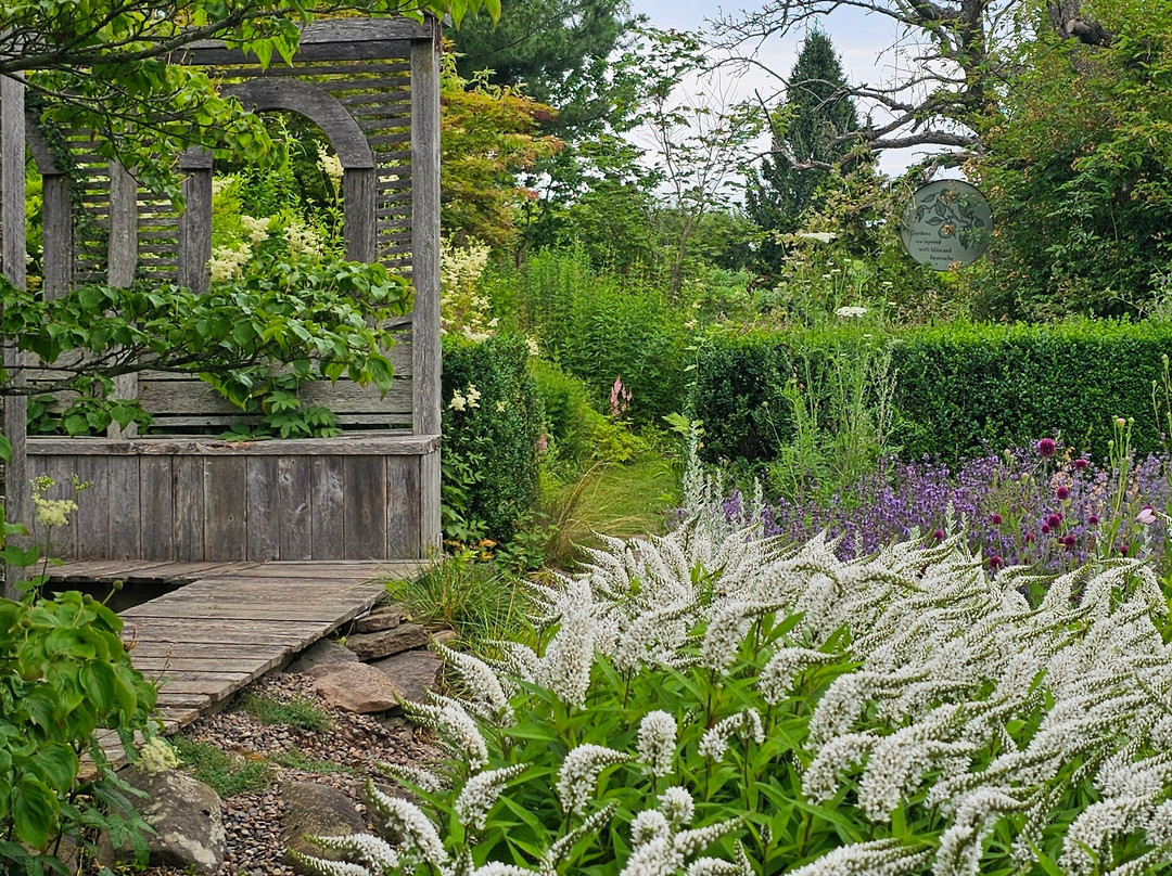 Tangled Garden-Grand Pre必去景点