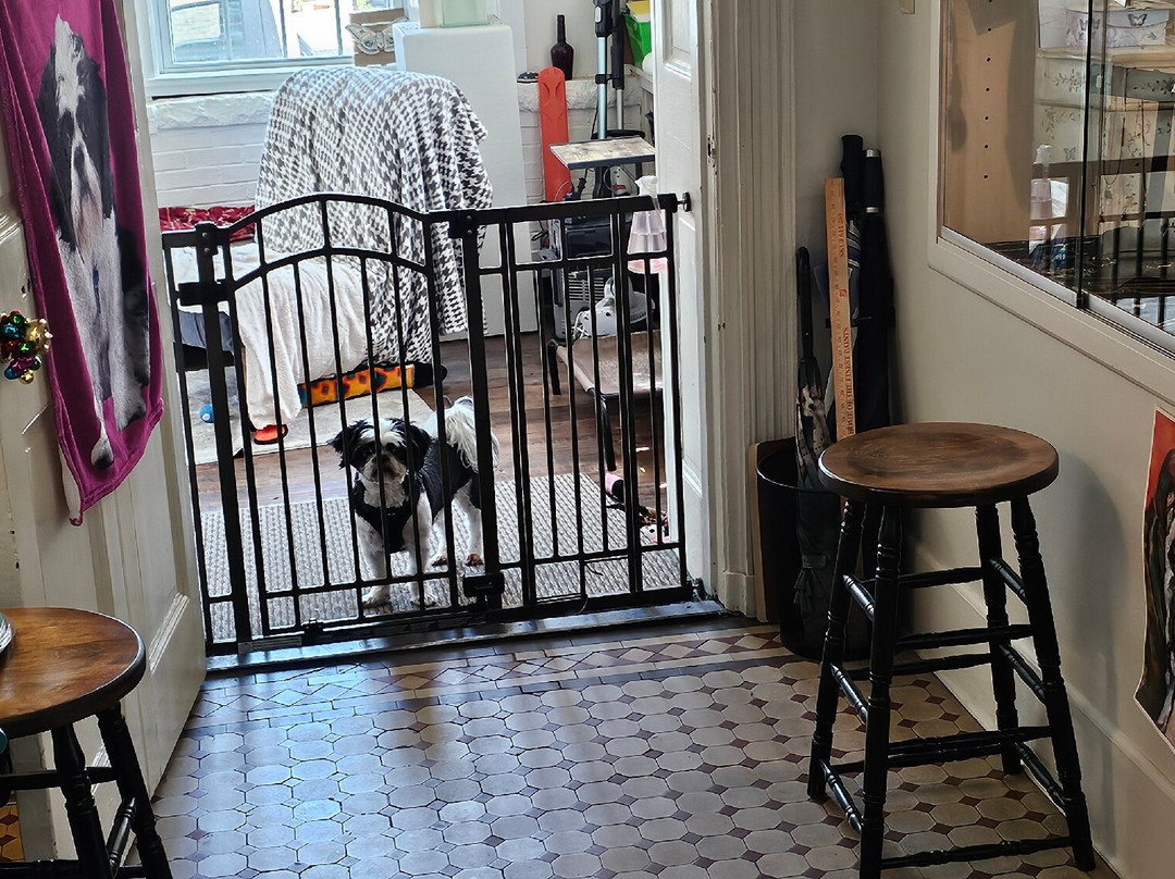 Cecil County Arts Council-埃尔克顿必去景点