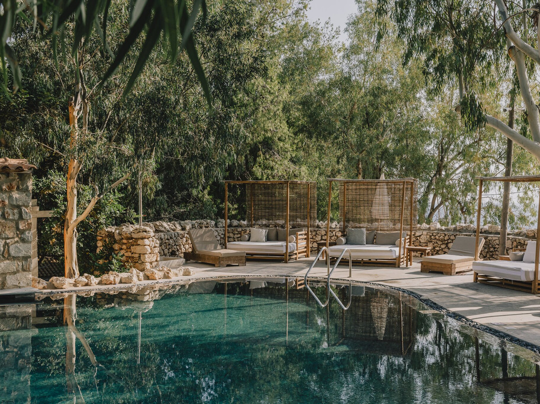 The Peligoni Club主图