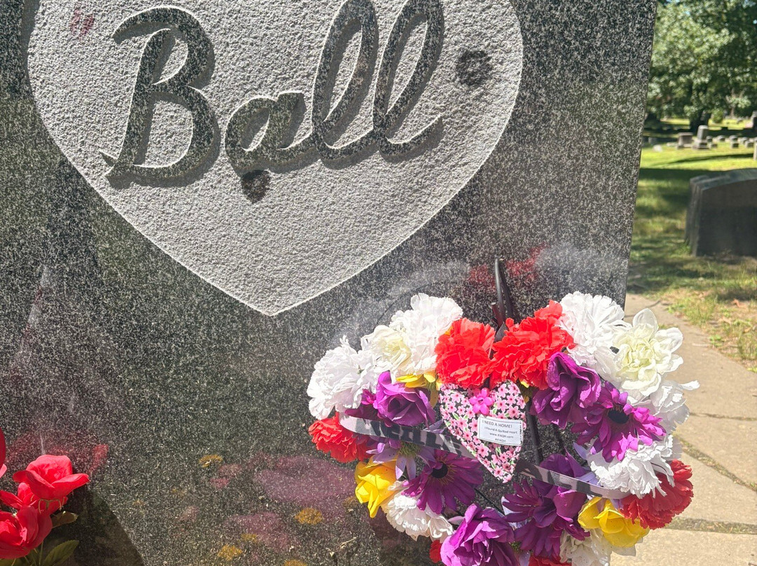 Lake View Cemetery-Jamestown必去景点