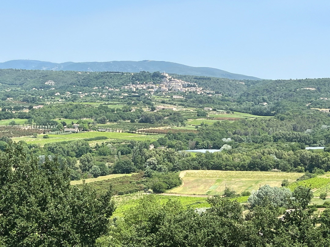 Provence Cycling Holidays主图