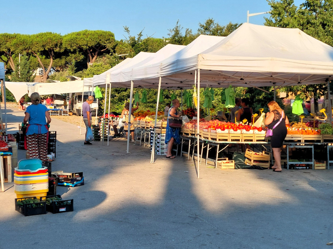 Mercato Settimanale Parco Centrale-福洛尼卡必去景点