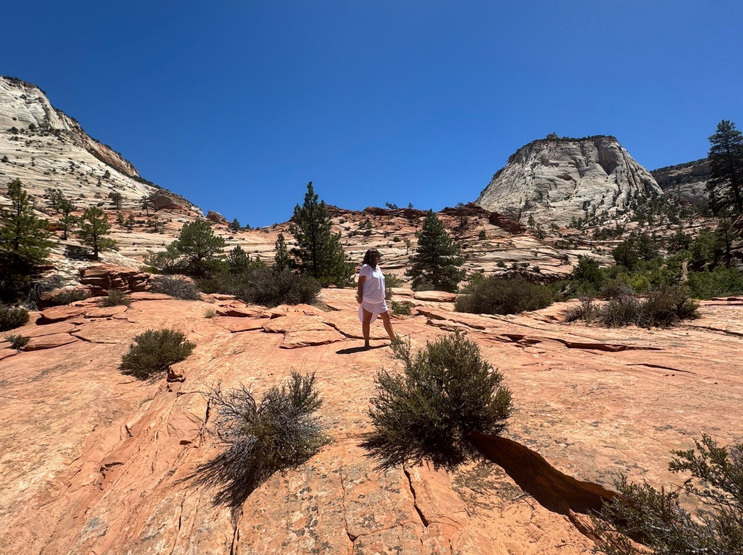 Zion - Mt. Carmel Highway-锡安国家公园必去景点