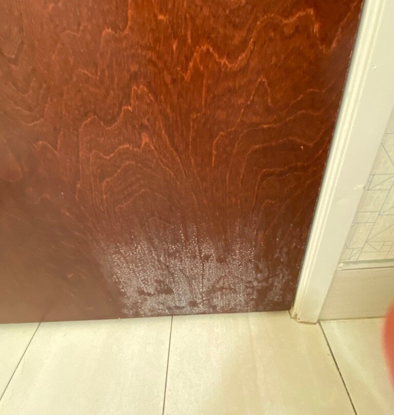 Holiday Inn Express & Suites Dothan North By IHG主图