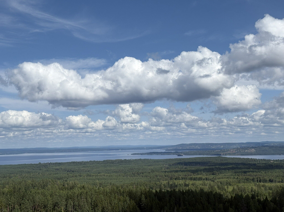 Naturum Dalarna-Siljansnas必去景点