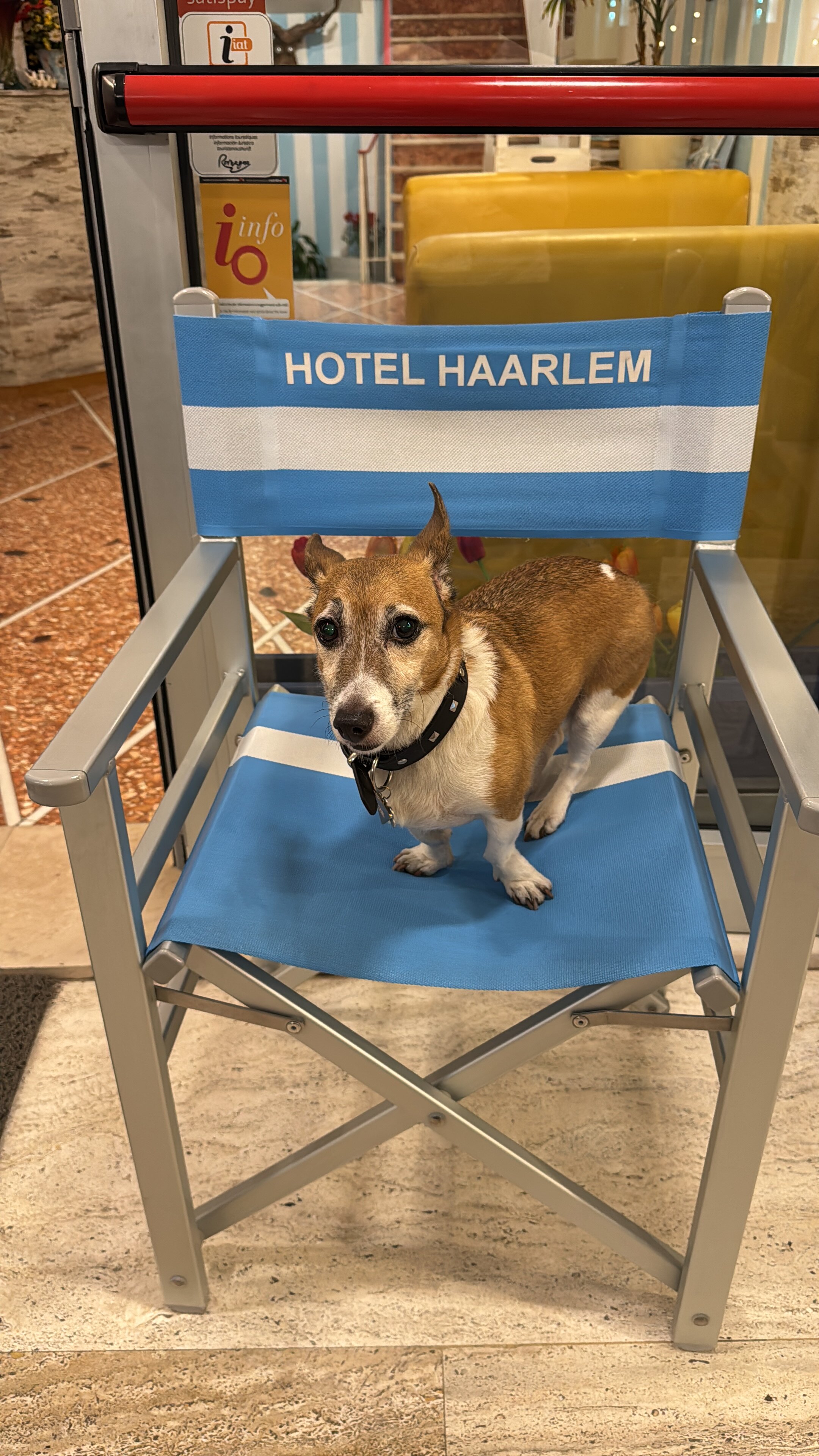 Hotel Haarlem-官方