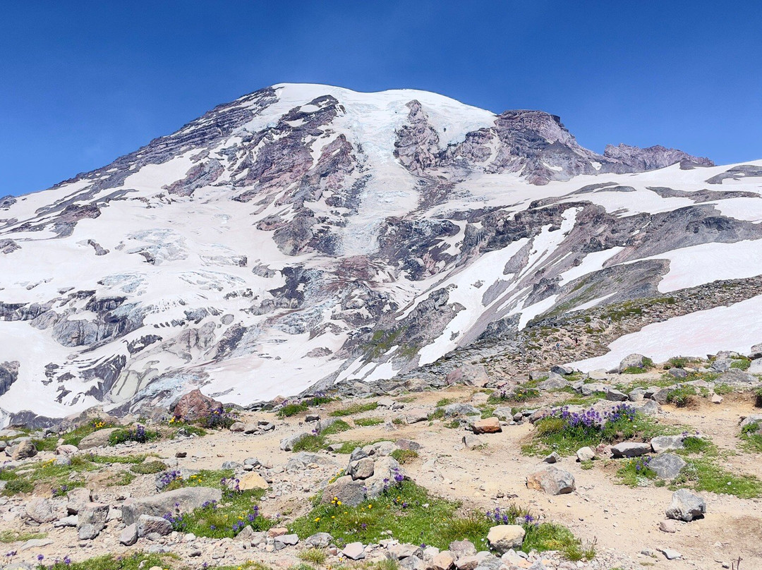 Mount Rainier National Park-阿什福德必去景点