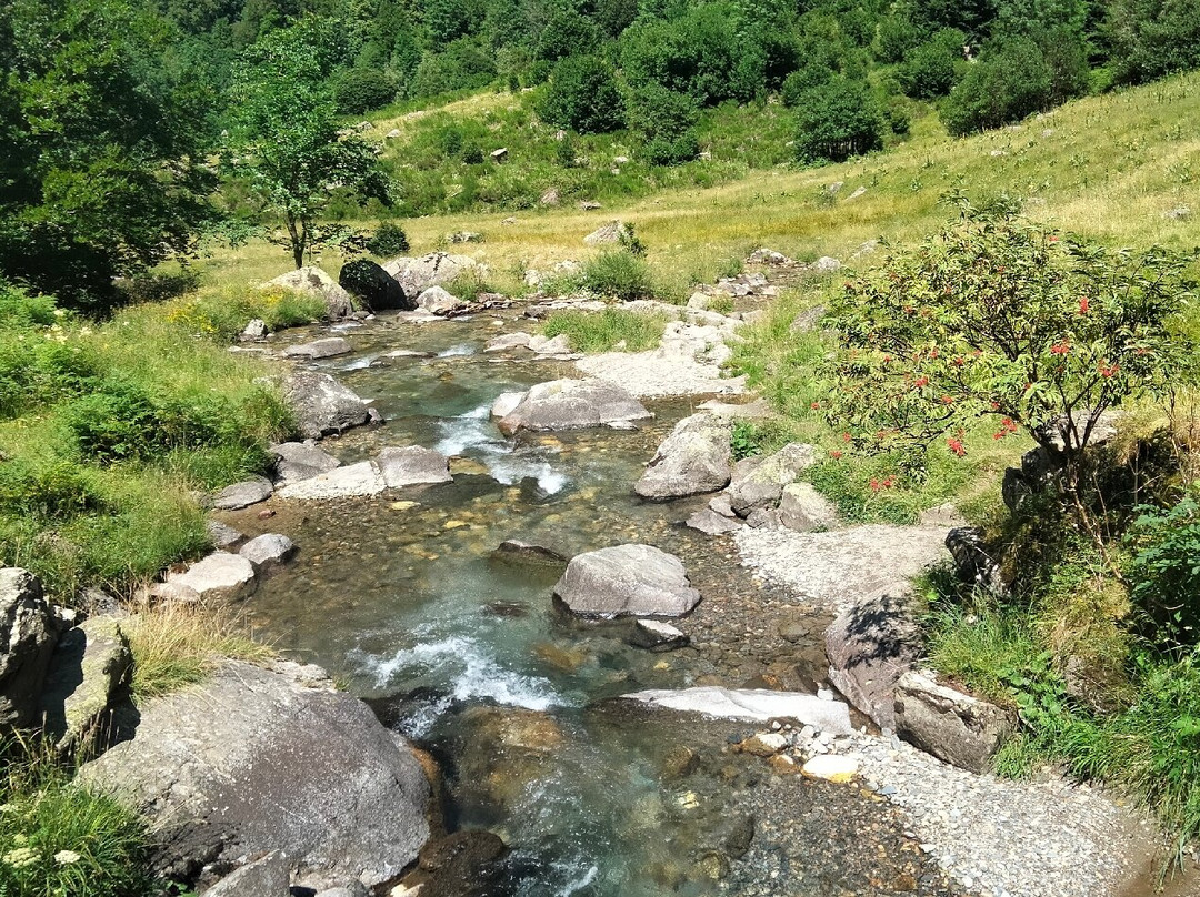 Reserve d'Orlu-奥尔吕必去景点