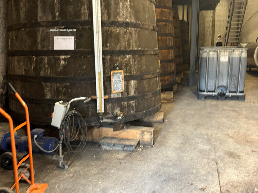 Cognac Vaudon-Echallat必去景点