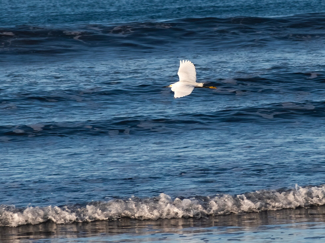 Naturalmente B&B Boutique Bungalows主图