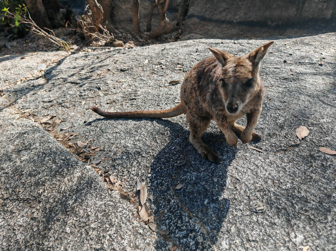 Granite Gorge Nature Park-马里巴必去景点