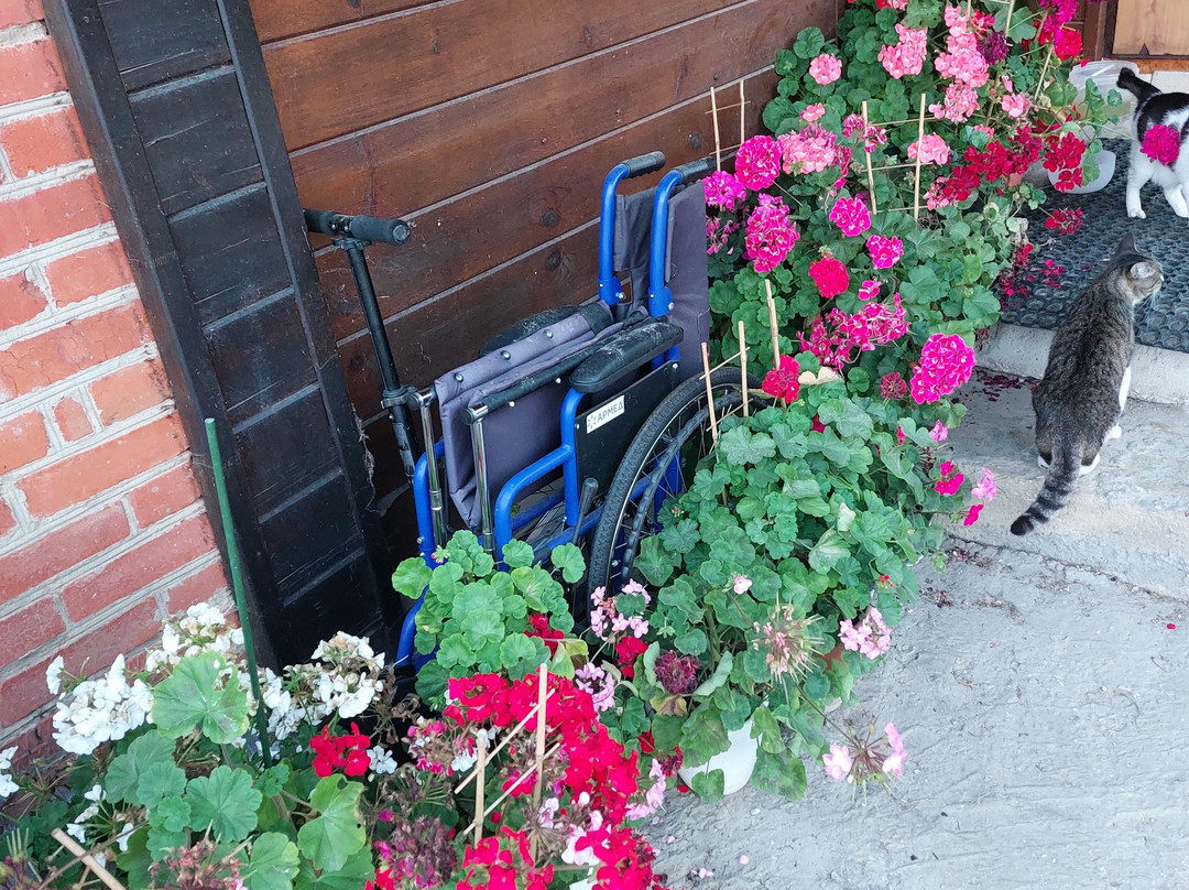 Guesthouse Ponka Housе主图