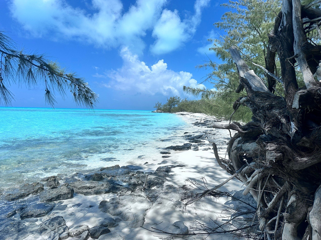 Bahamas Discovery Quest-长岛必去景点