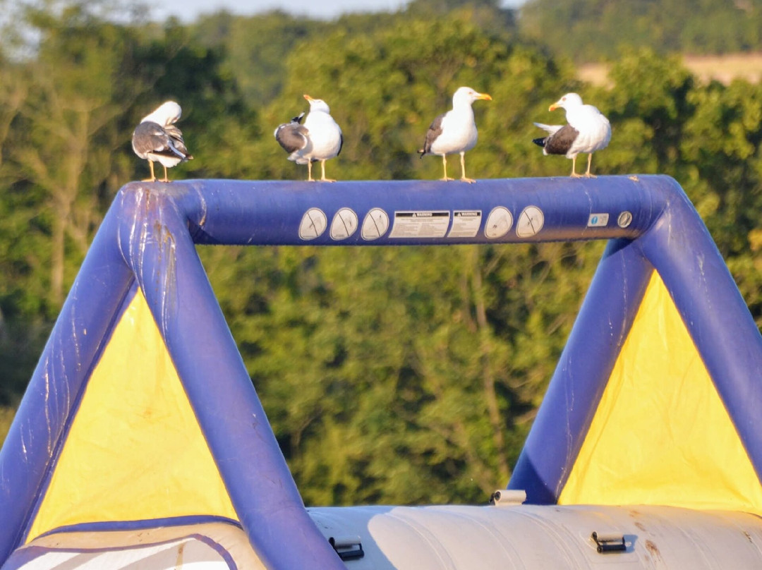 Cosmeston Lakes Aqua Park At The Vale
