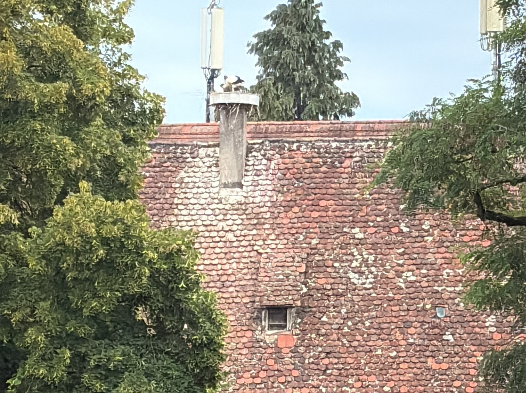 Gasthof Walfisch主图