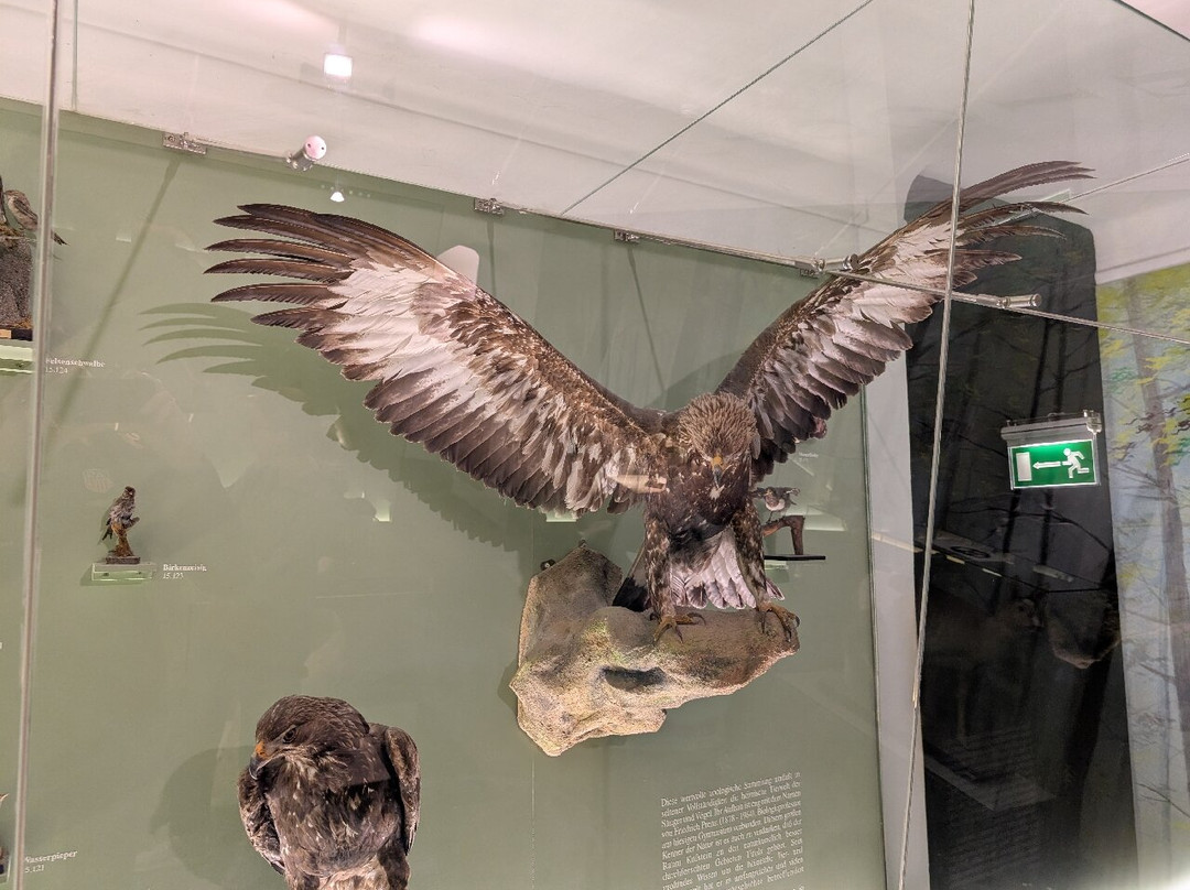 Kufstein Fortress-库夫石必去景点