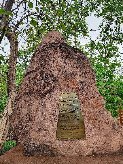 Bhimbetka Caves-Raisen必去景点