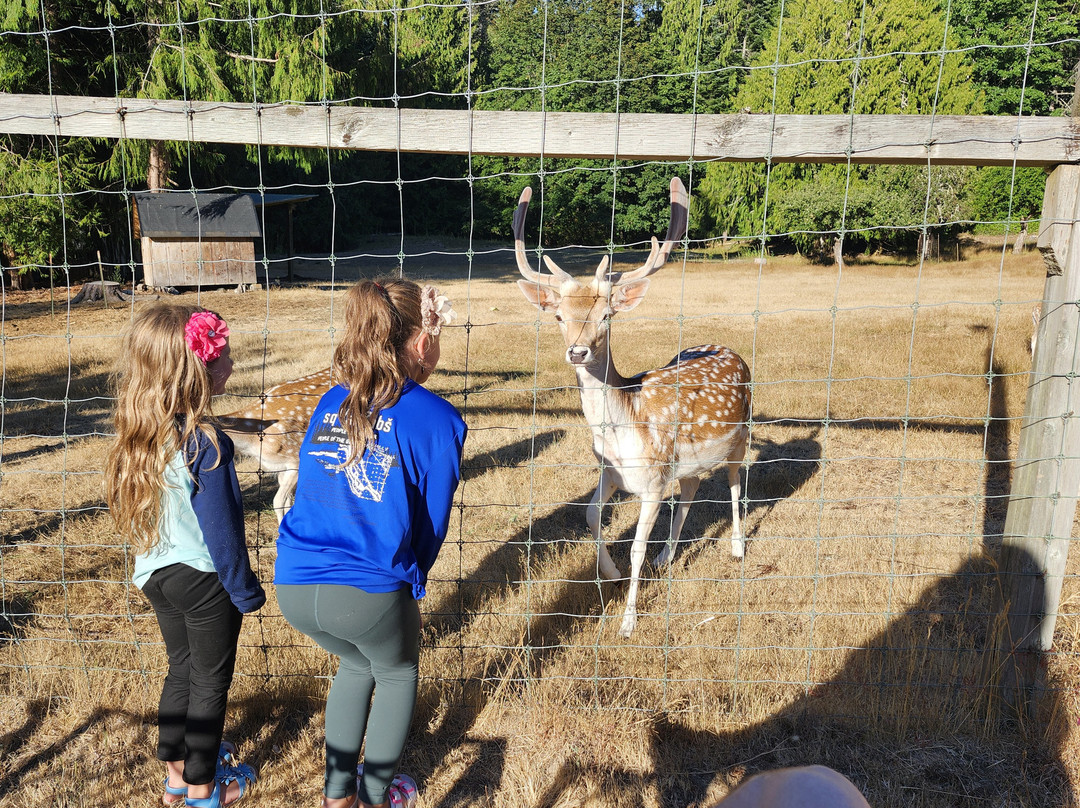 A Hidden Haven Bed and Breakfast主图