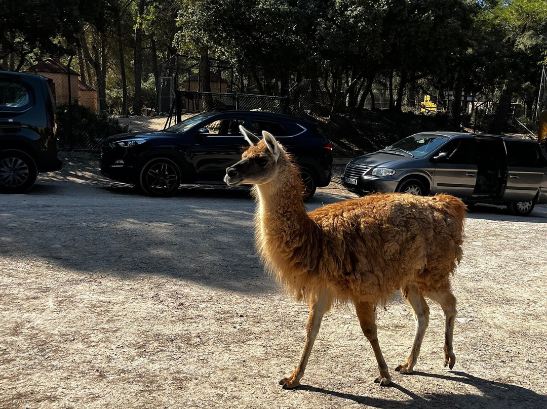 Safari Aitana-Penaguila必去景点