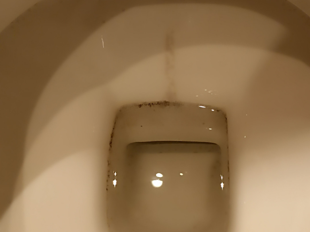 Parkhotel Helmstedt主图