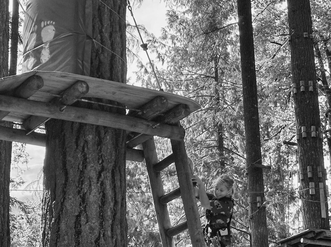 WildPlay Maple Ridge-枫树岭必去景点