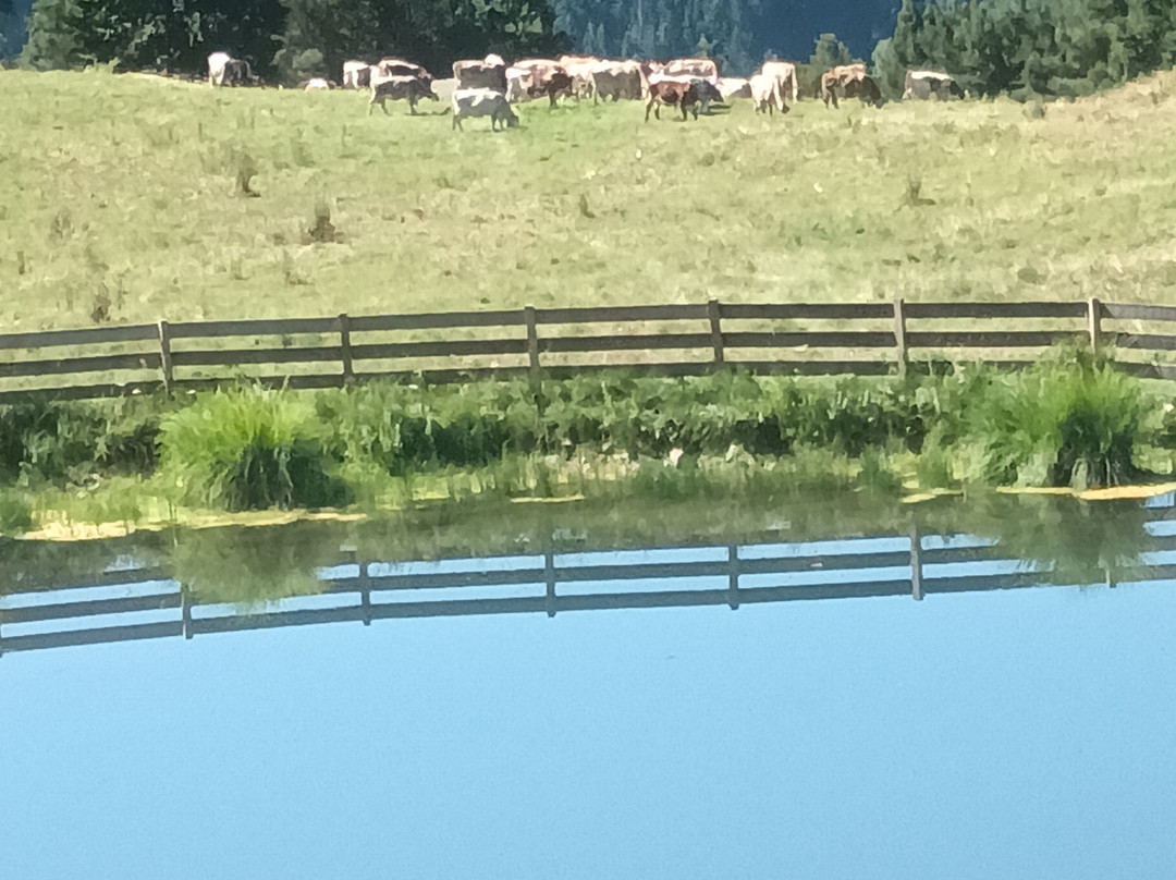 Hotel Zum Lowen-Post主图