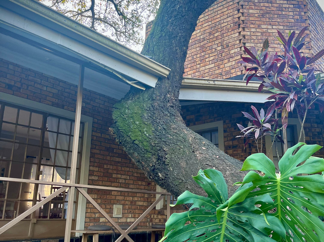 辛加拉纳民宿主图