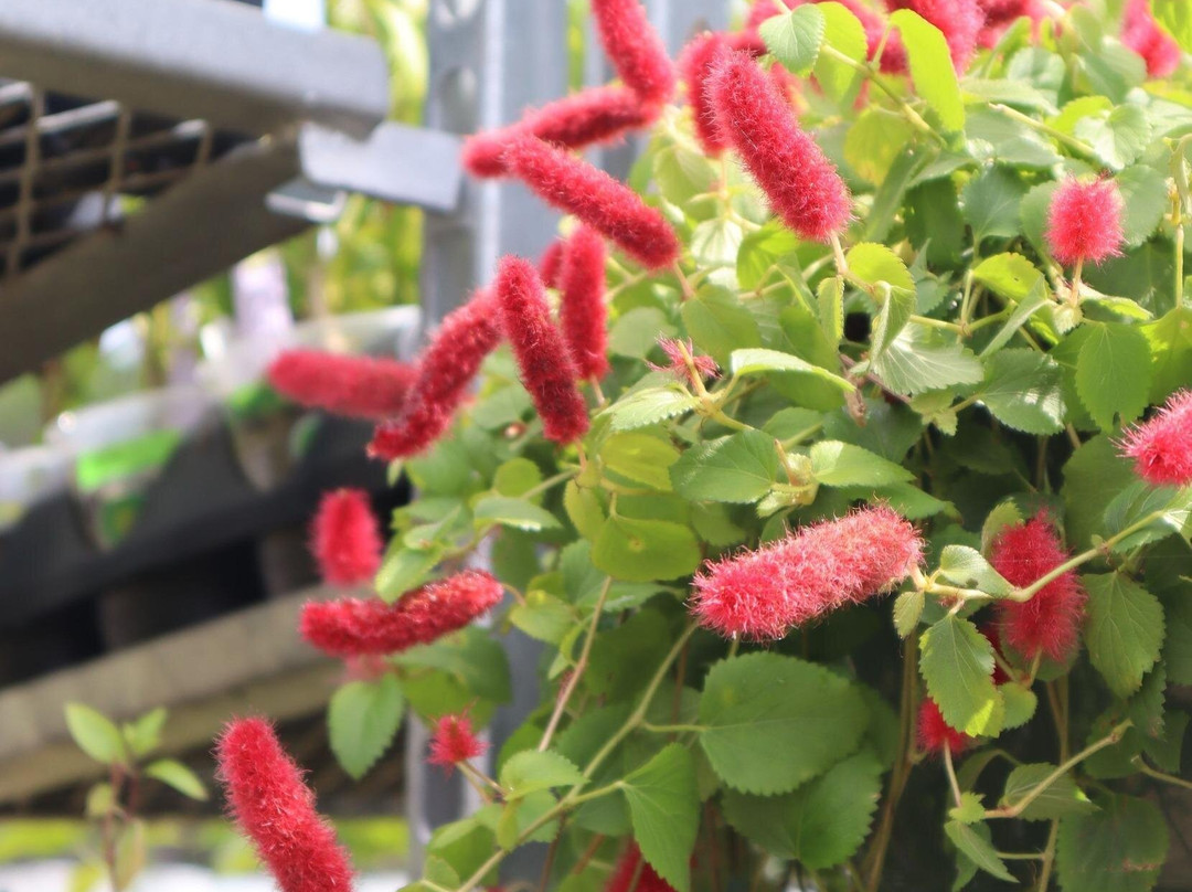 Clay Garden & Gifts Llc-Seagrove Beach必去景点